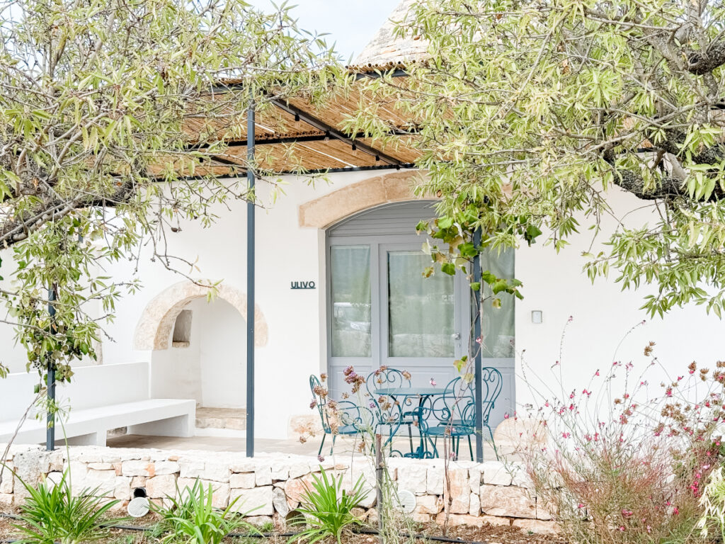 ulivo_borgo_cucumo-0001